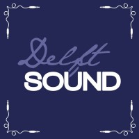 Logo Delft Sound